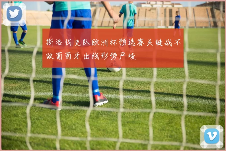 斯洛伐克队欧洲杯预选赛关键战不敌葡萄牙出线形势严峻