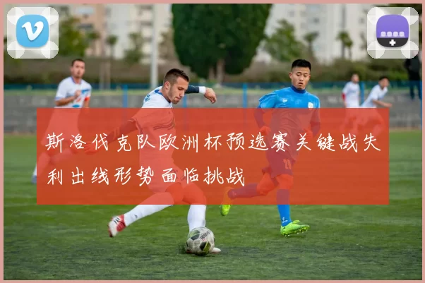 斯洛伐克队欧洲杯预选赛关键战失利出线形势面临挑战