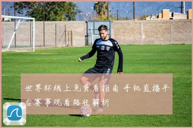 世界杯线上免费看指南 手机直播平台赛事观看路径解析