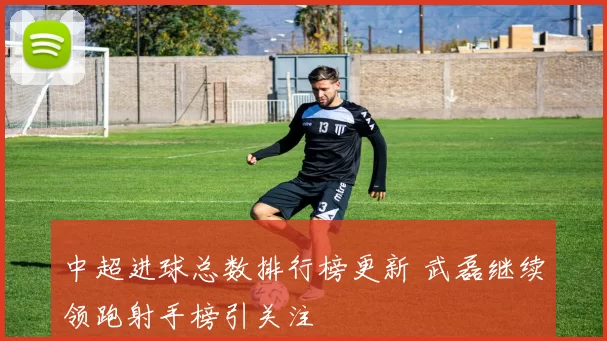 中超进球总数排行榜更新 武磊继续领跑射手榜引关注