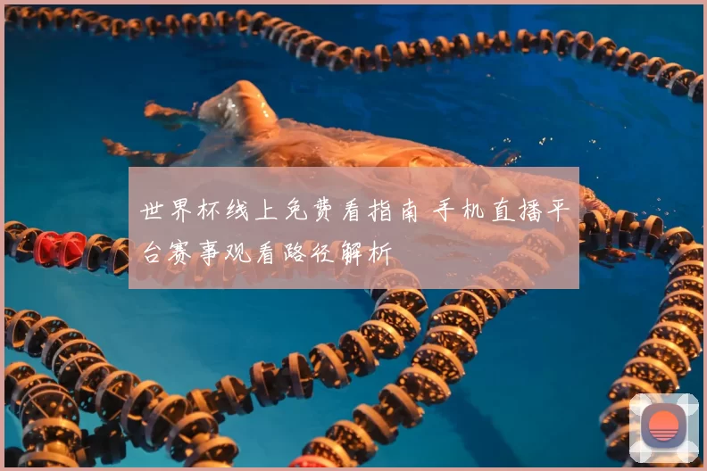 世界杯线上免费看指南 手机直播平台赛事观看路径解析